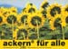 ackern - ackern fuer alle 2