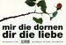 mir die dornen - dir die liebe